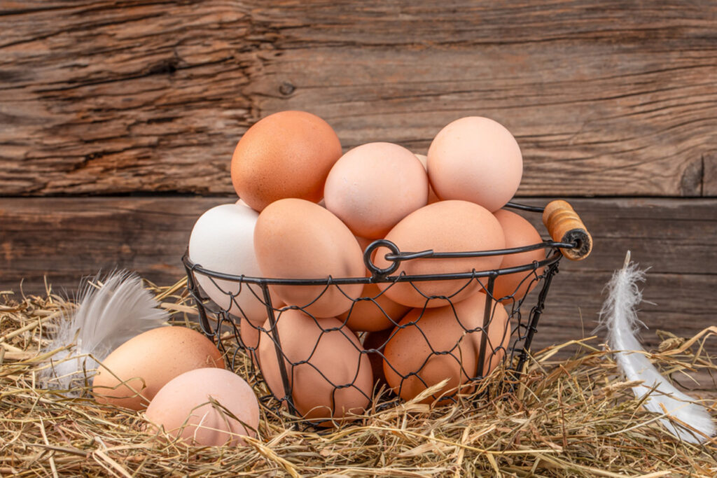 Huevos Frescos